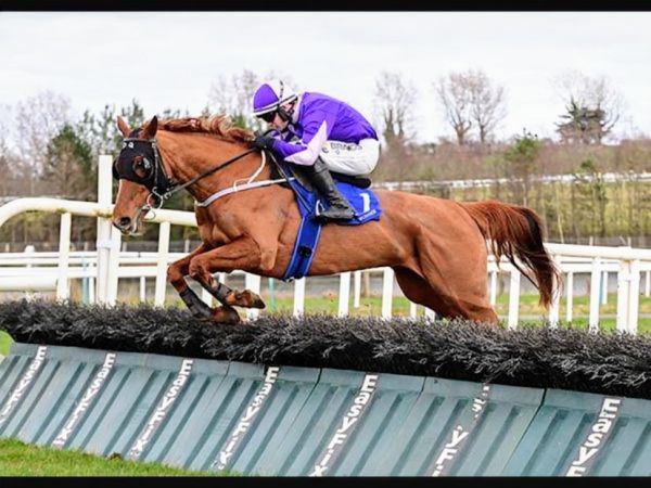 Brands Momentum Announces Sponsorship of Irish Joc